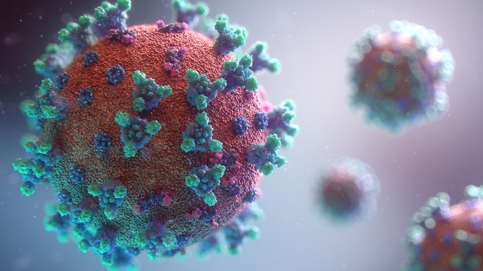 Определение антител IgM и IgG к коронавирусной инфекции