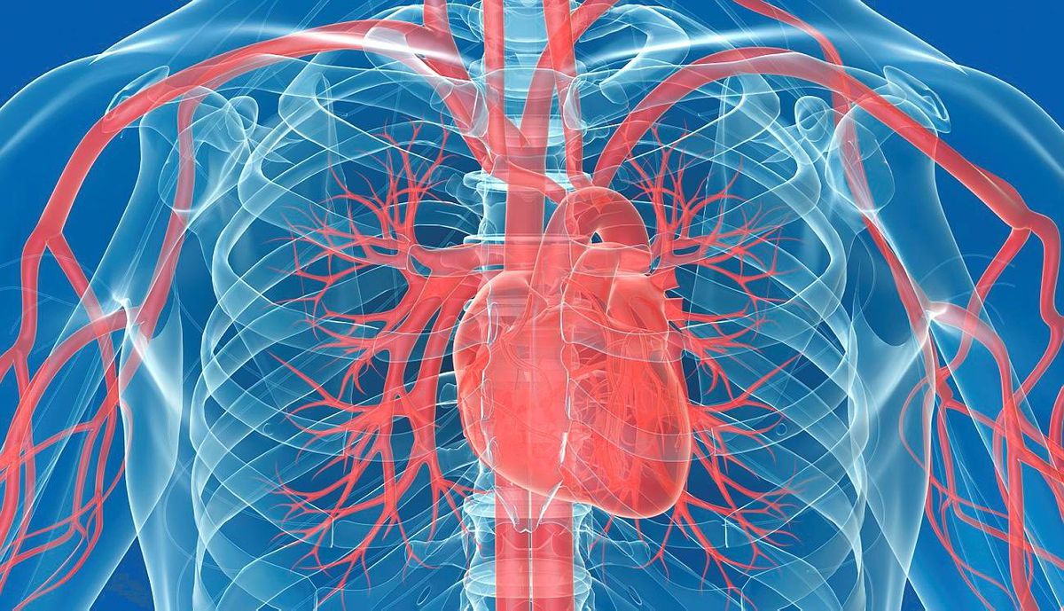 Компьютерная томография сосудов сердца